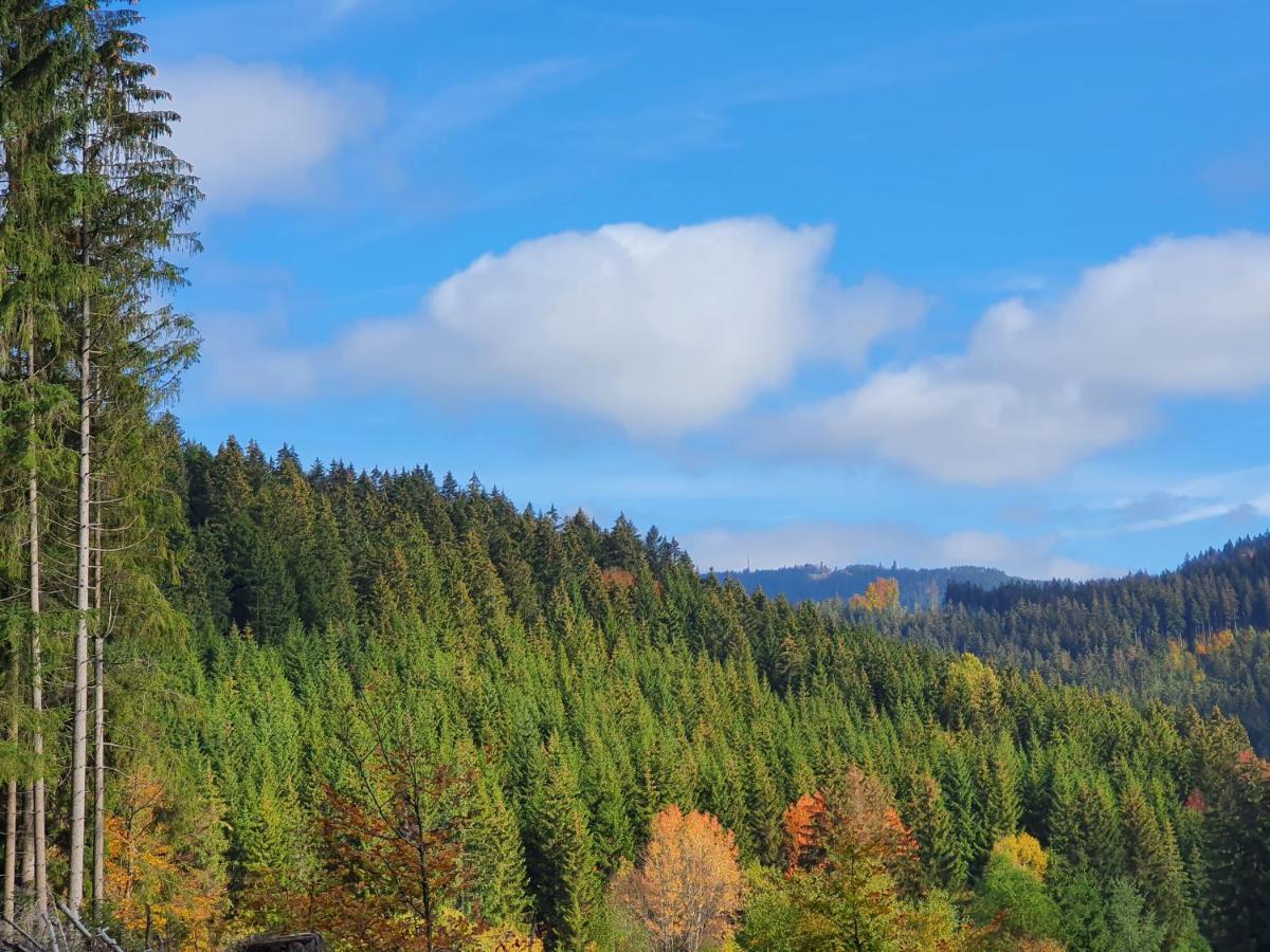 Ferienhaeuser & Bungalows - Naturcamp Meyersgrund Im Thueringer Wald Ilmenau Buitenkant foto