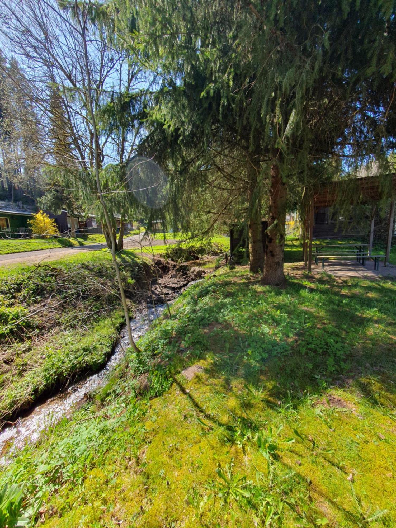 Ferienhaeuser & Bungalows - Naturcamp Meyersgrund Im Thueringer Wald Ilmenau Buitenkant foto